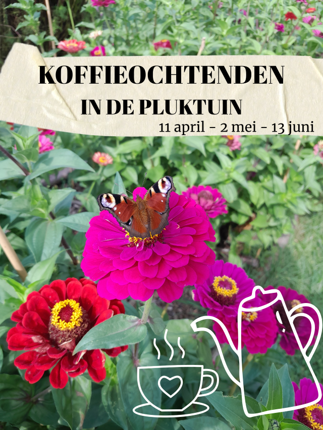 koffieochtend pluktuin bievink westendorp